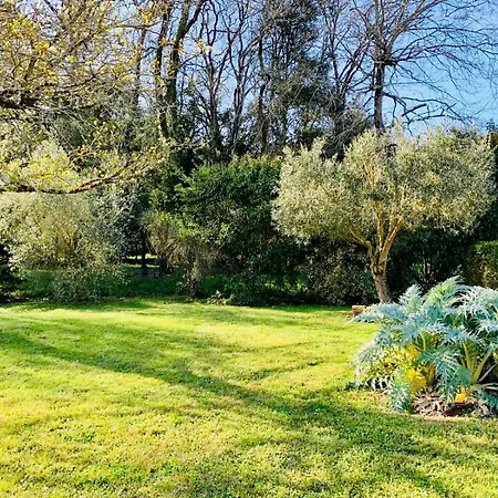 Annonce Supprimée *