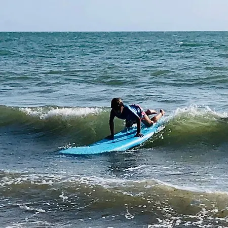 Annonce Supprimee * Dolus d'Oléron